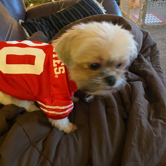 Meet your Posher, Jill - Picture 2 of 4